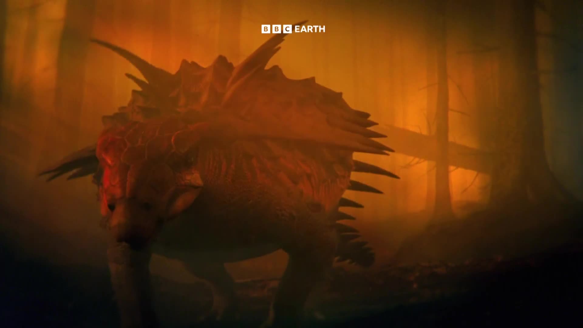 BBCEarth