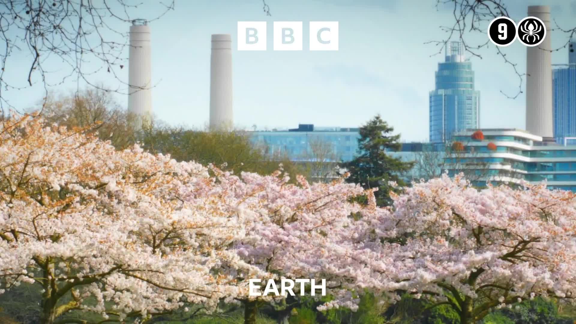 BBCEarth
