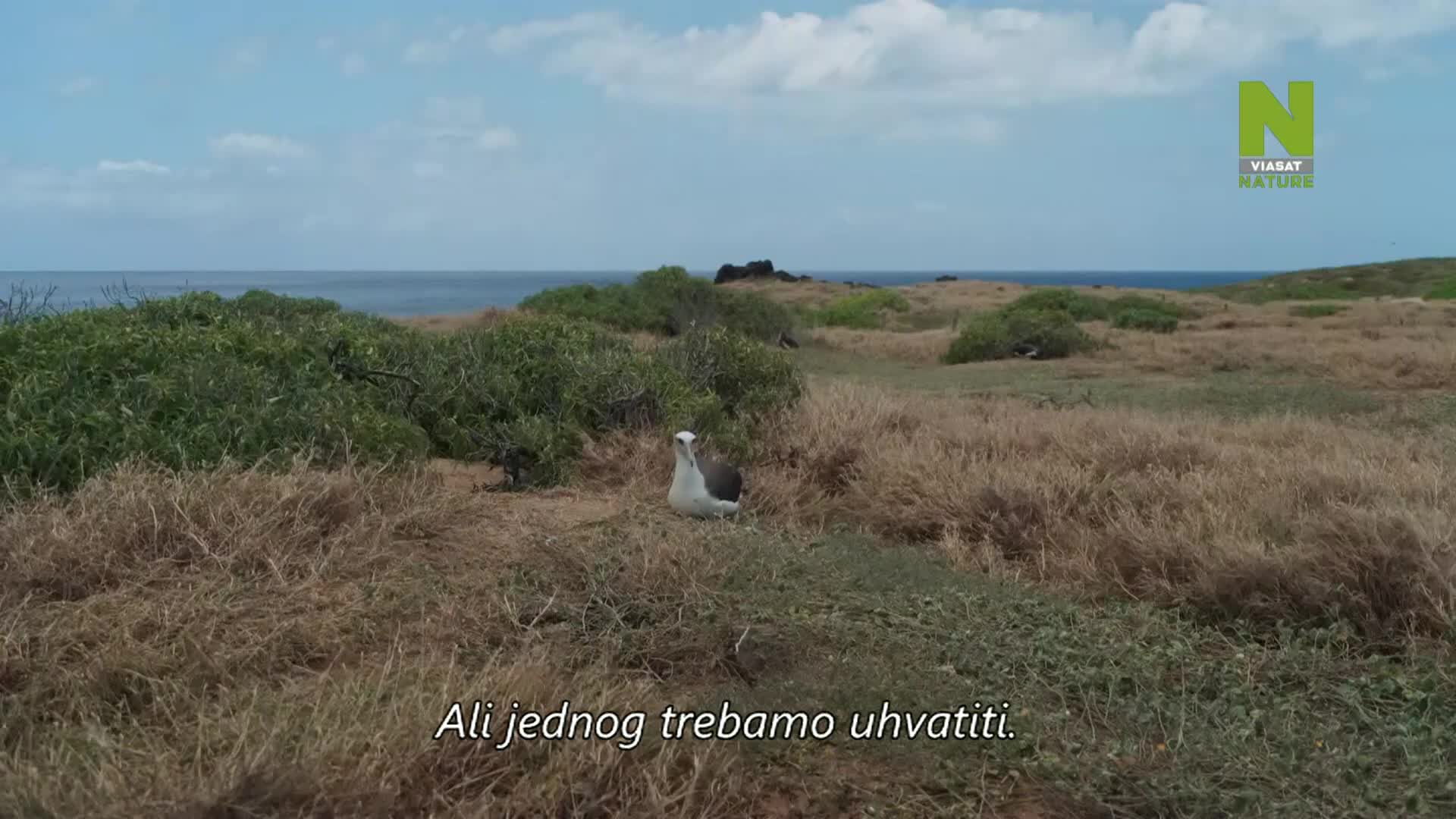 ViasatNature