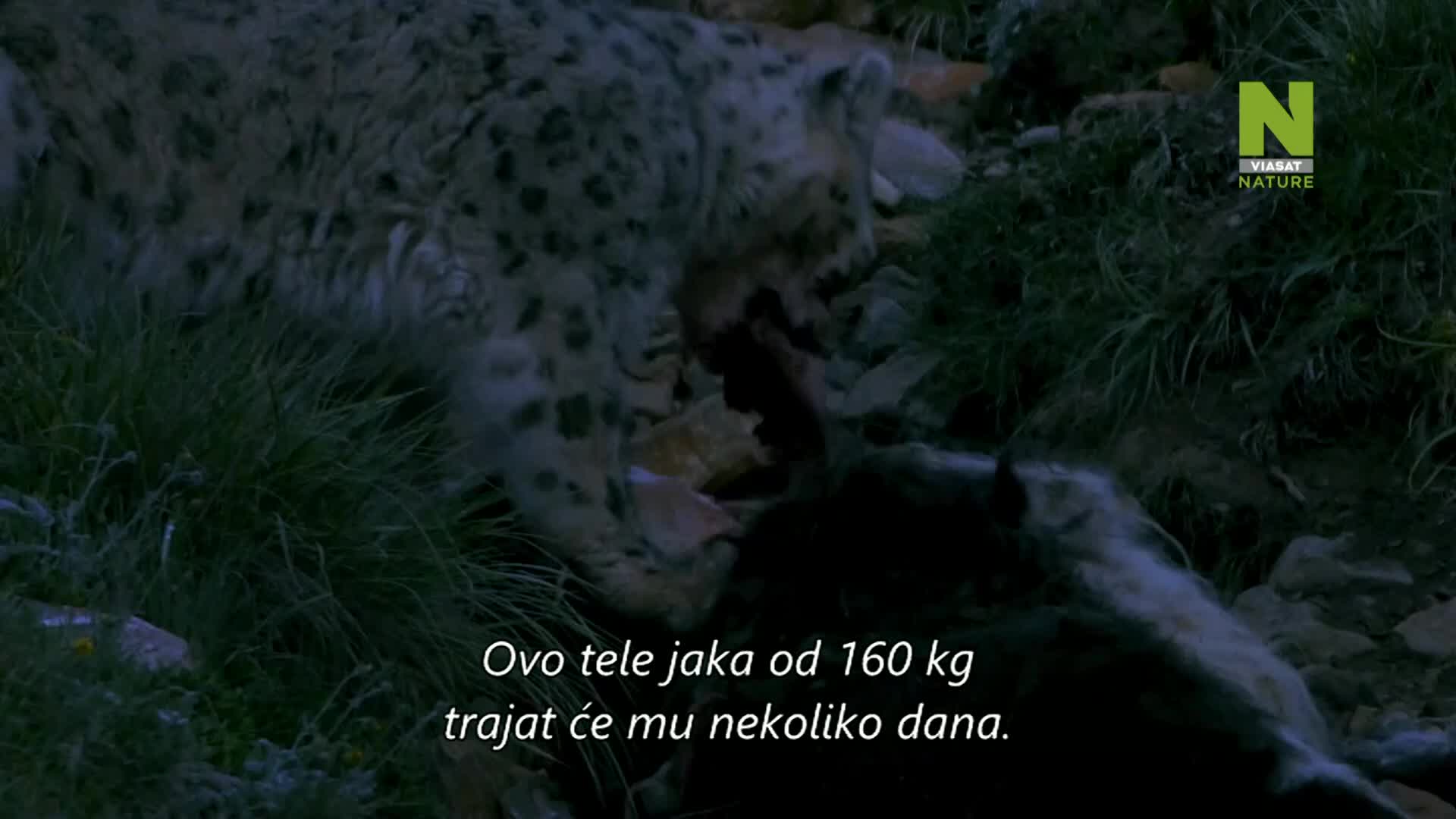 ViasatNature