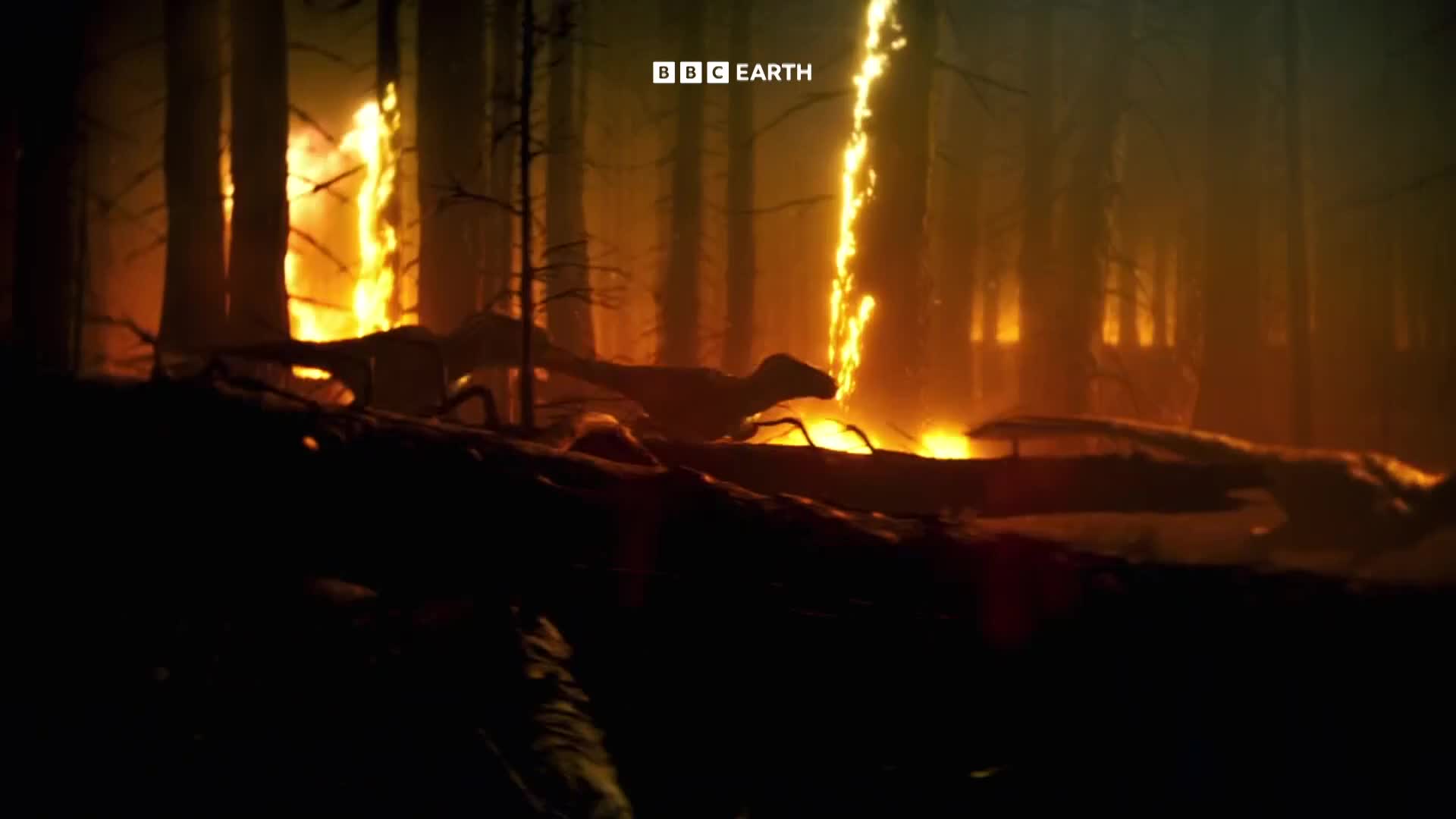 BBCEarth