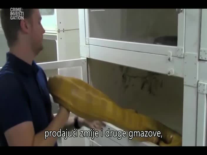 CrimeInvestigation