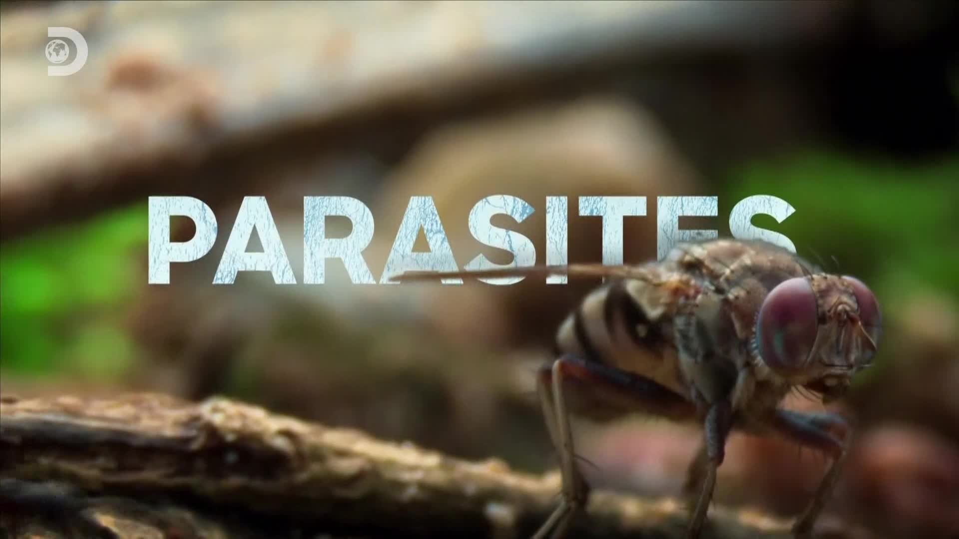 ViasatExplorer