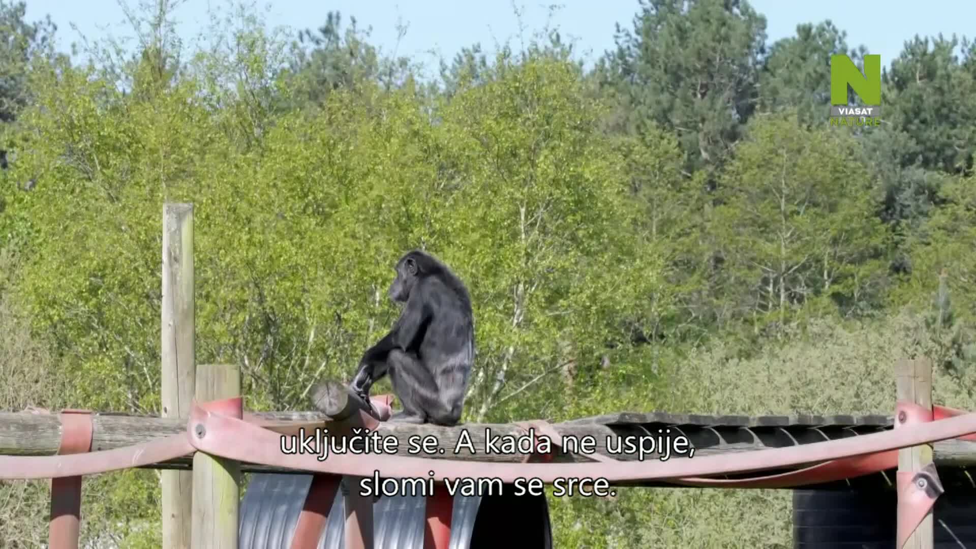 ViasatNature