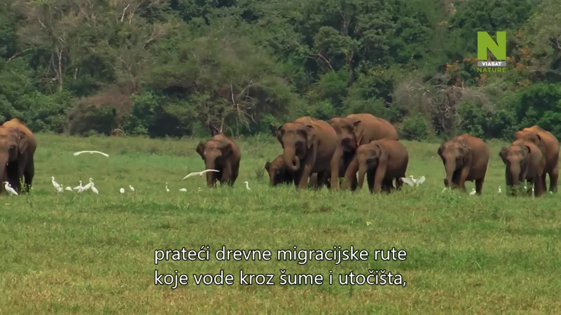 ViasatNature