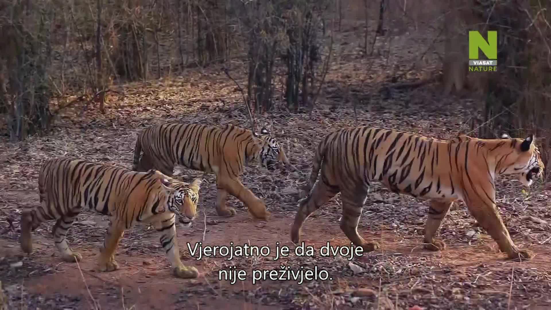 ViasatNature