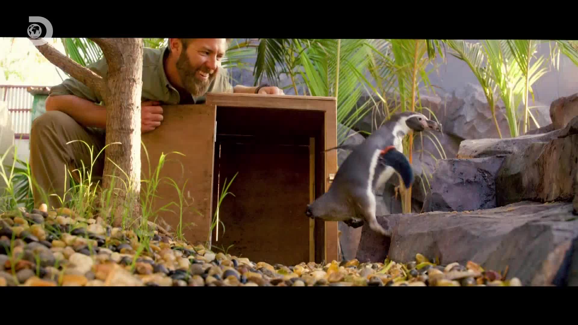 ViasatExplorer