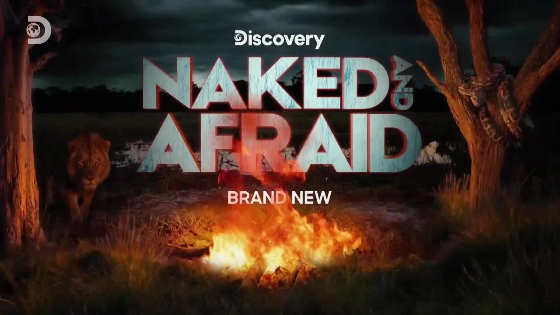 ViasatExplorer