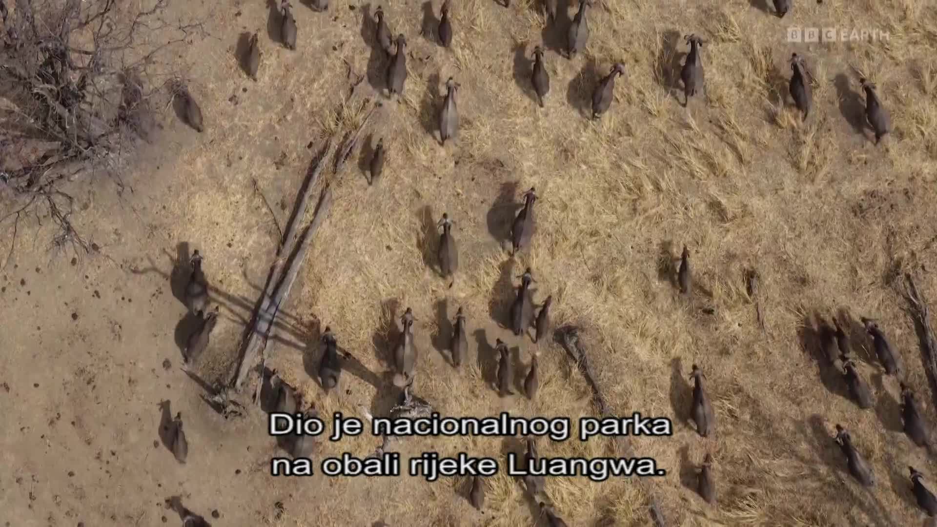 BBCEarth