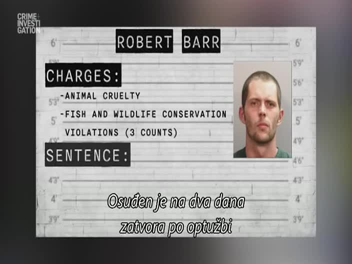 CrimeInvestigation