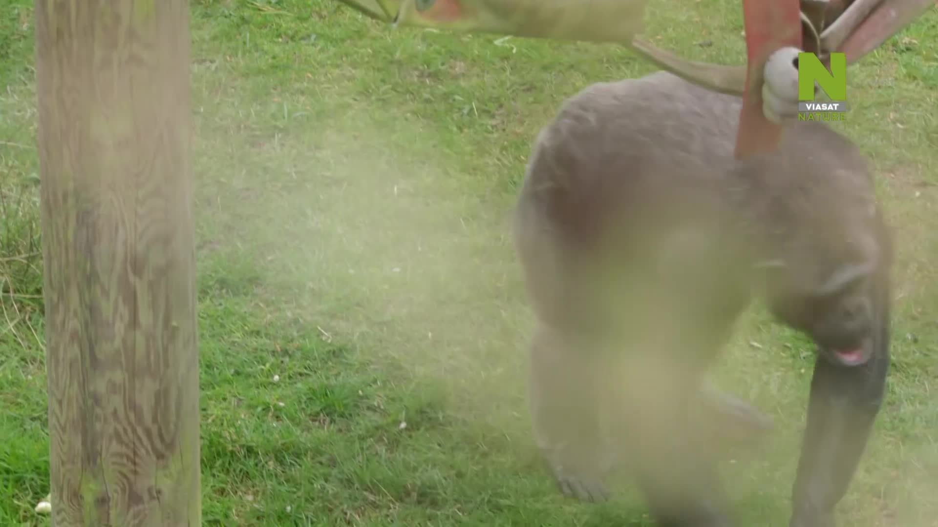 ViasatNature