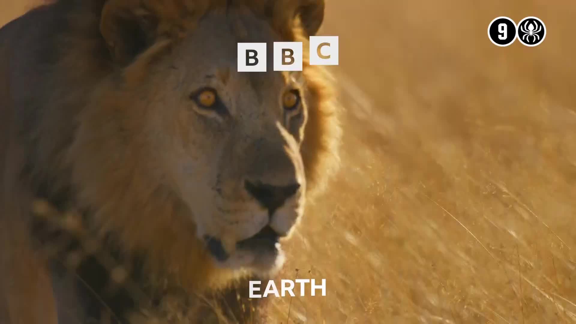BBCEarth