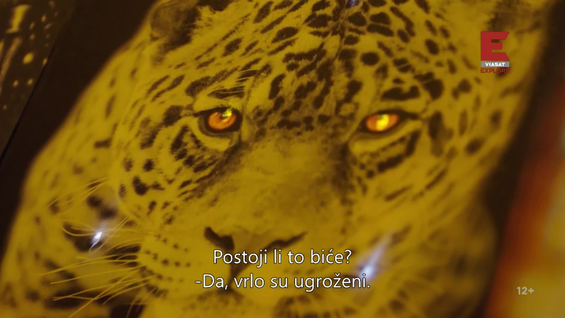 ViasatExplore
