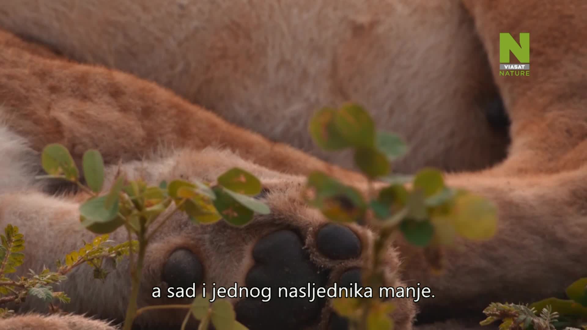 ViasatNature