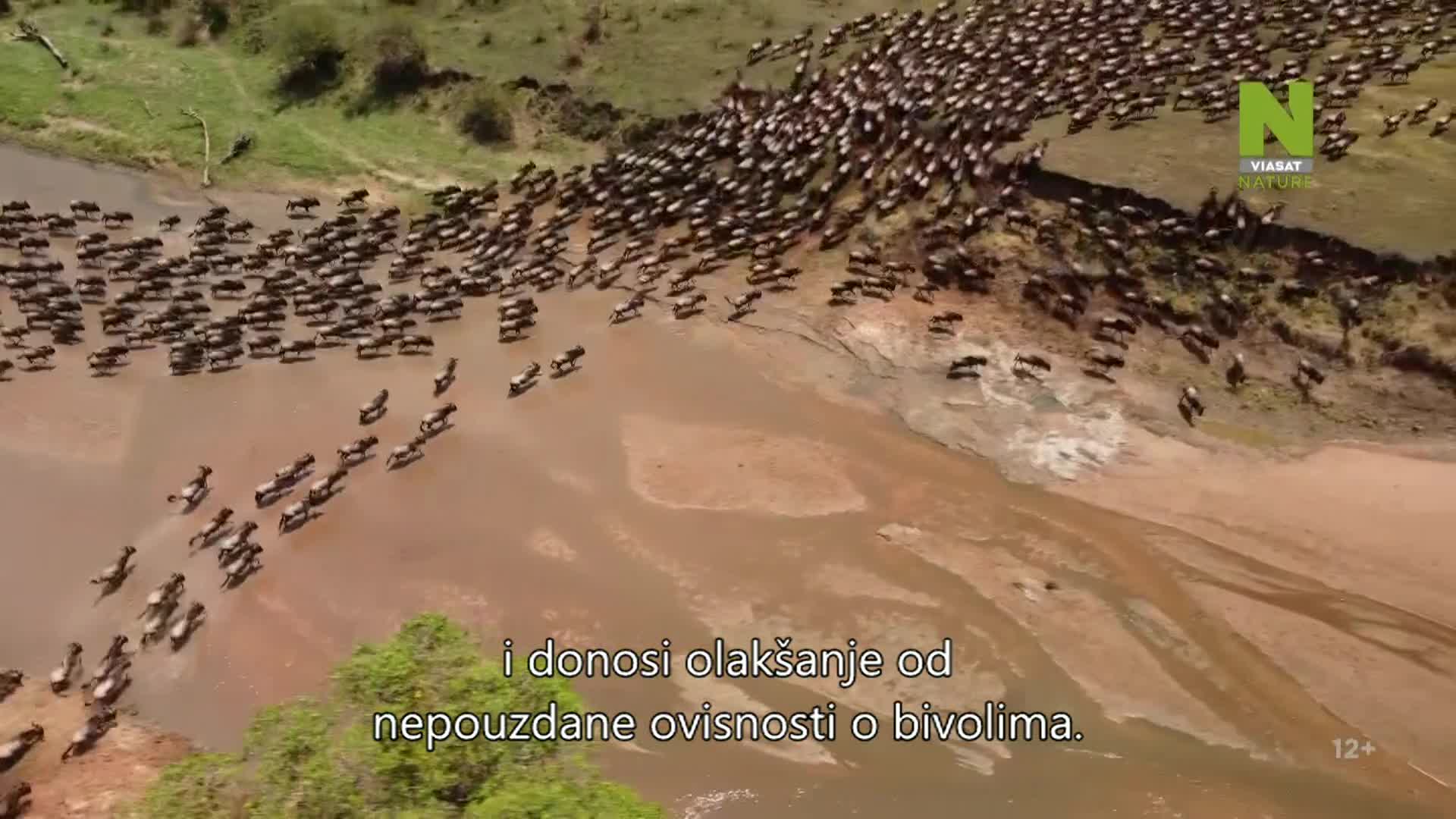 ViasatNature