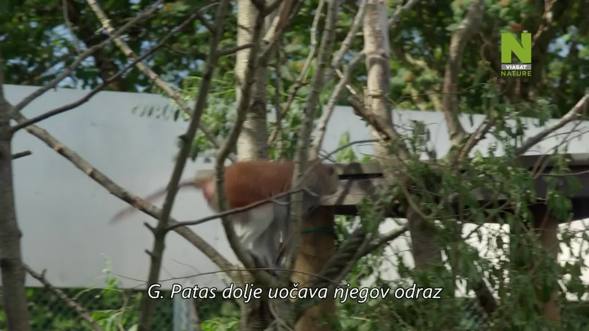ViasatNature