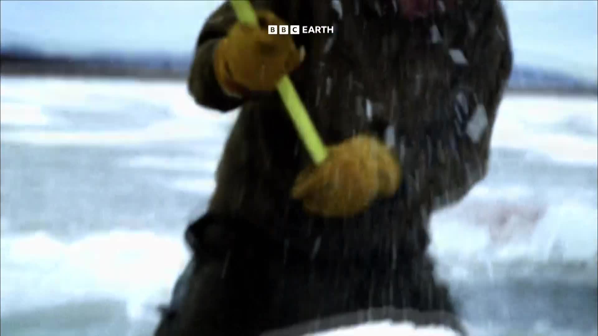 BBCEarth