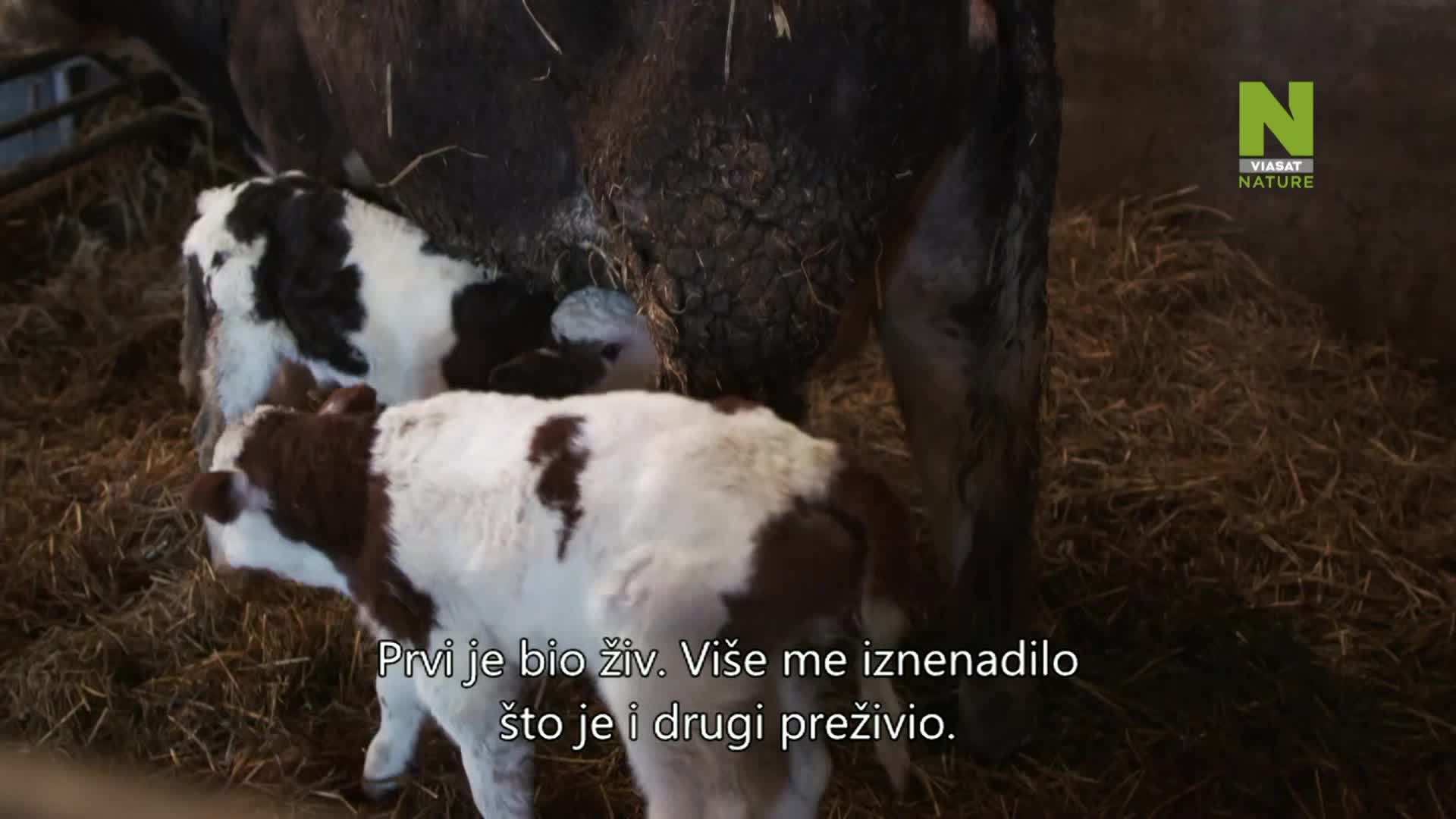 ViasatNature