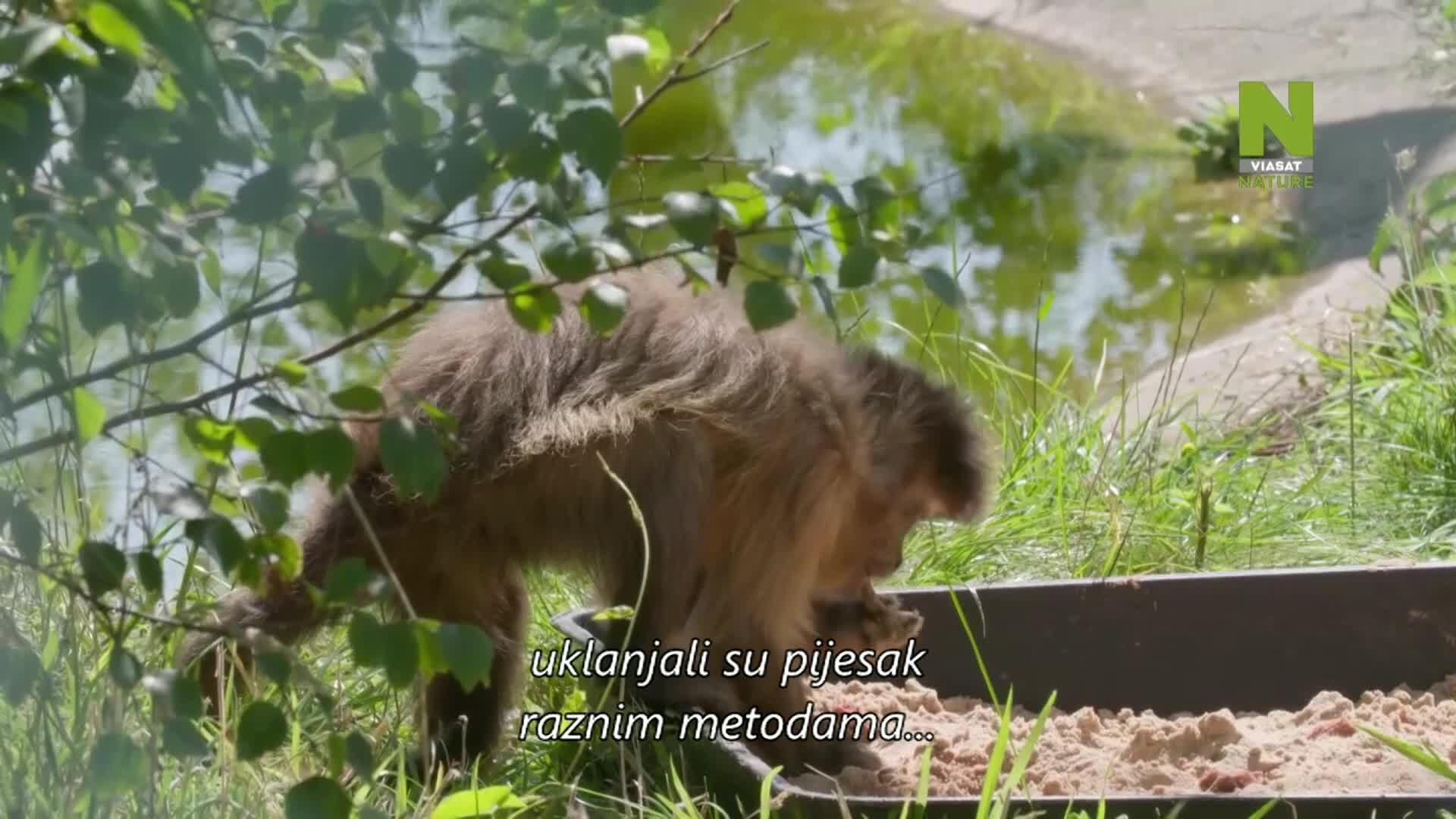 ViasatNature