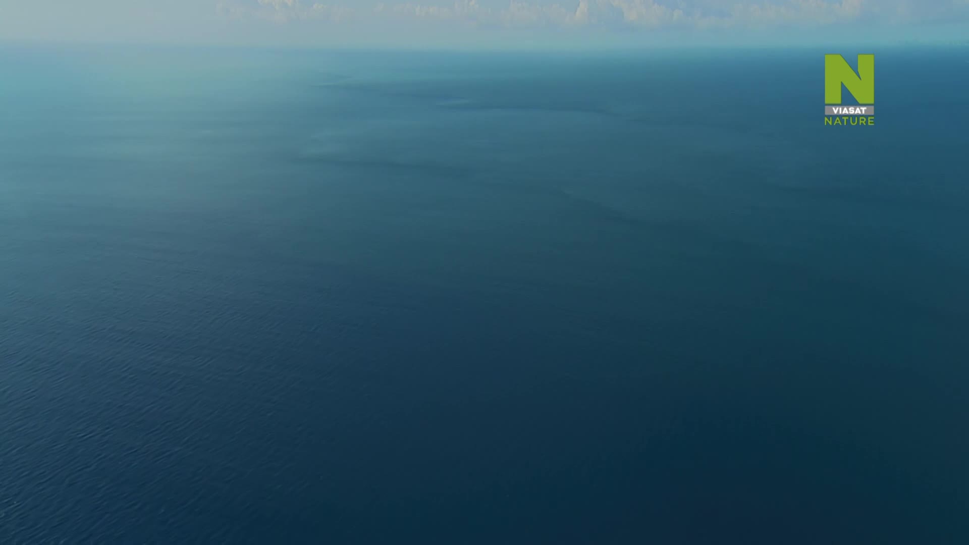 ViasatNature
