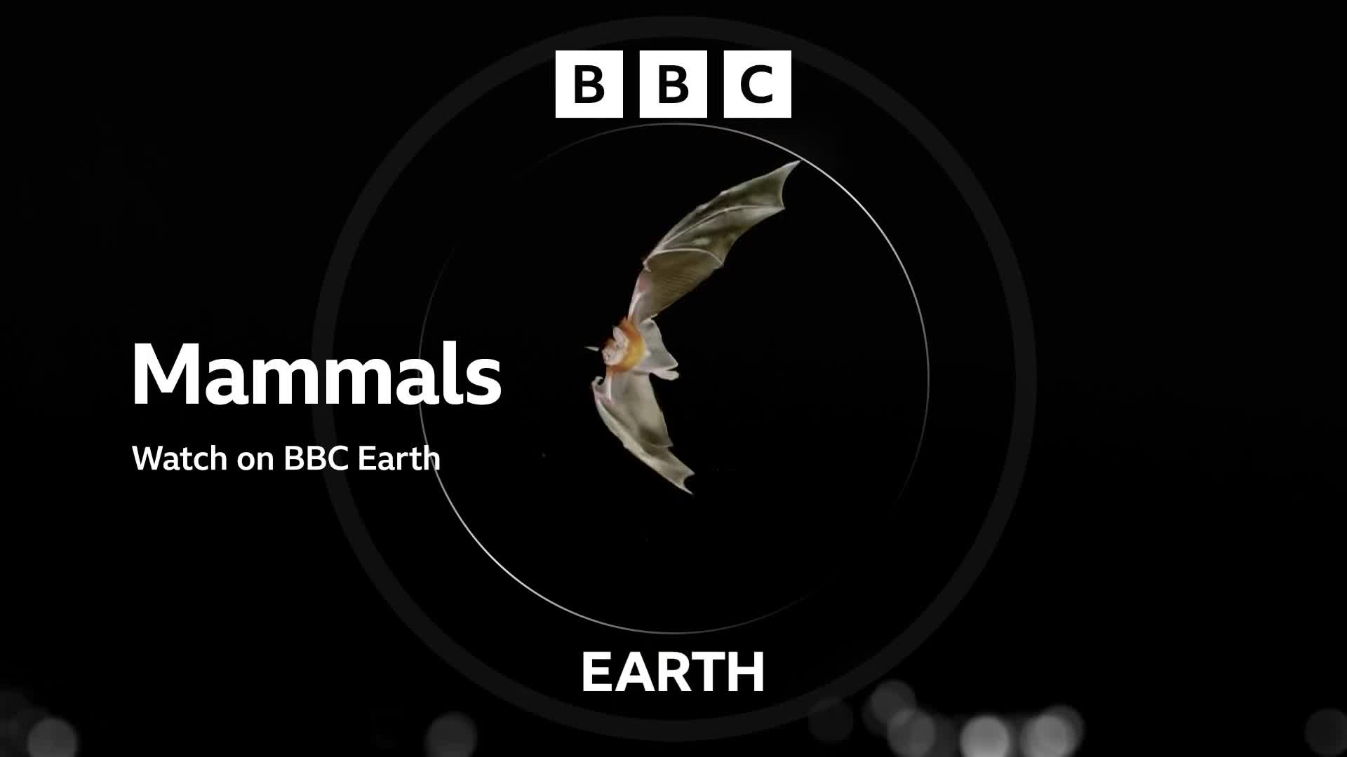 BBCEarth