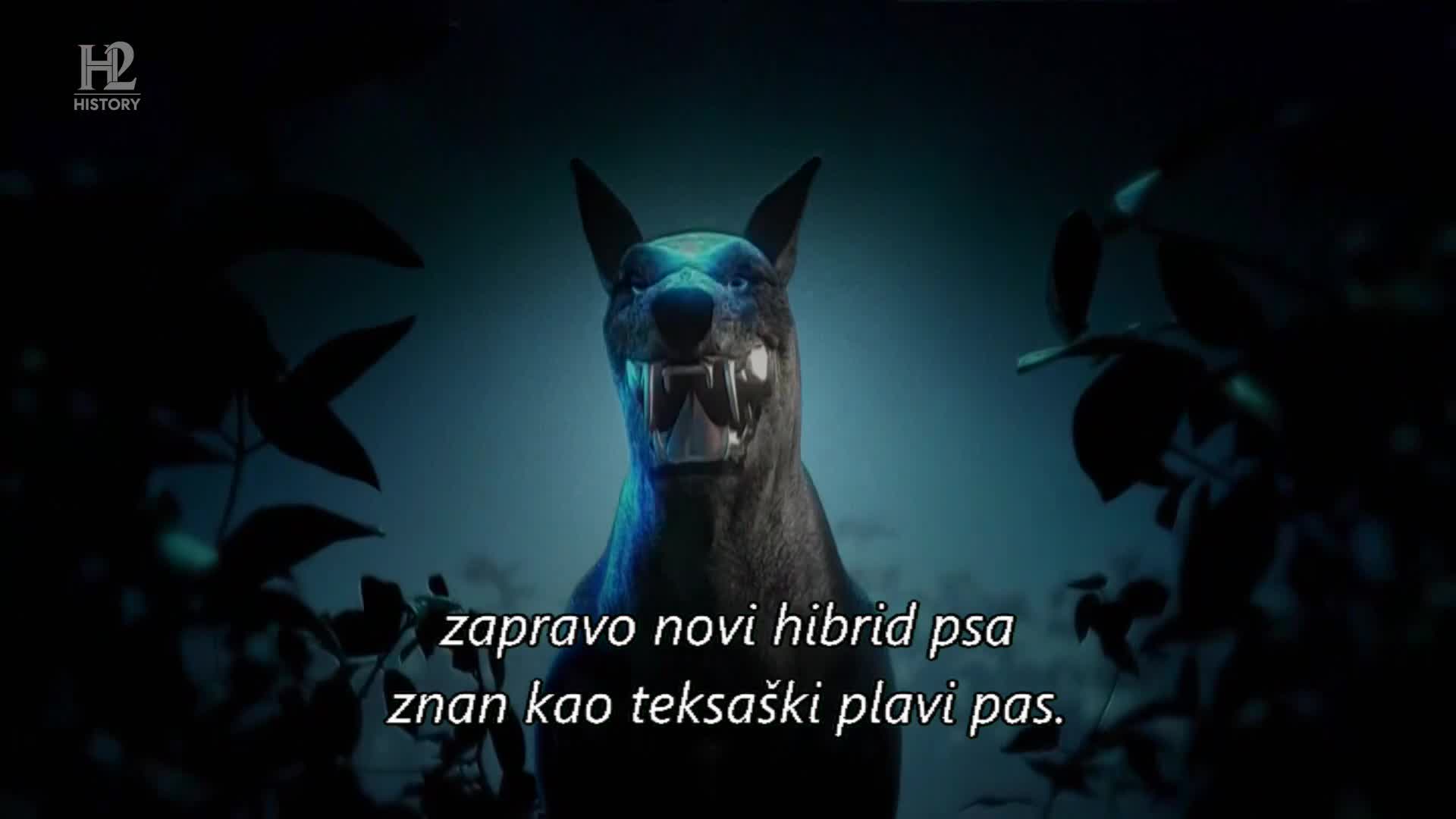 History2