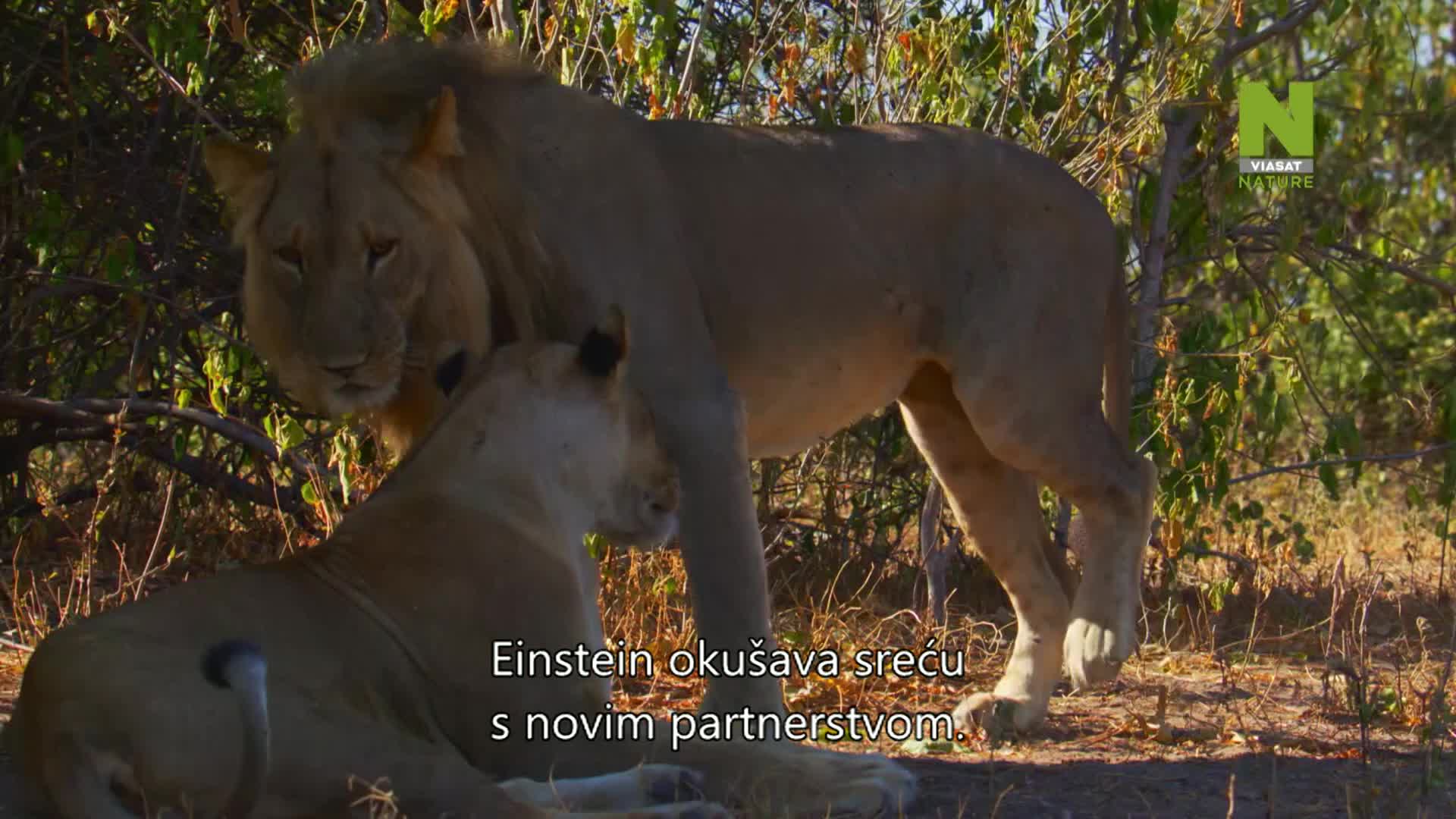 ViasatNature