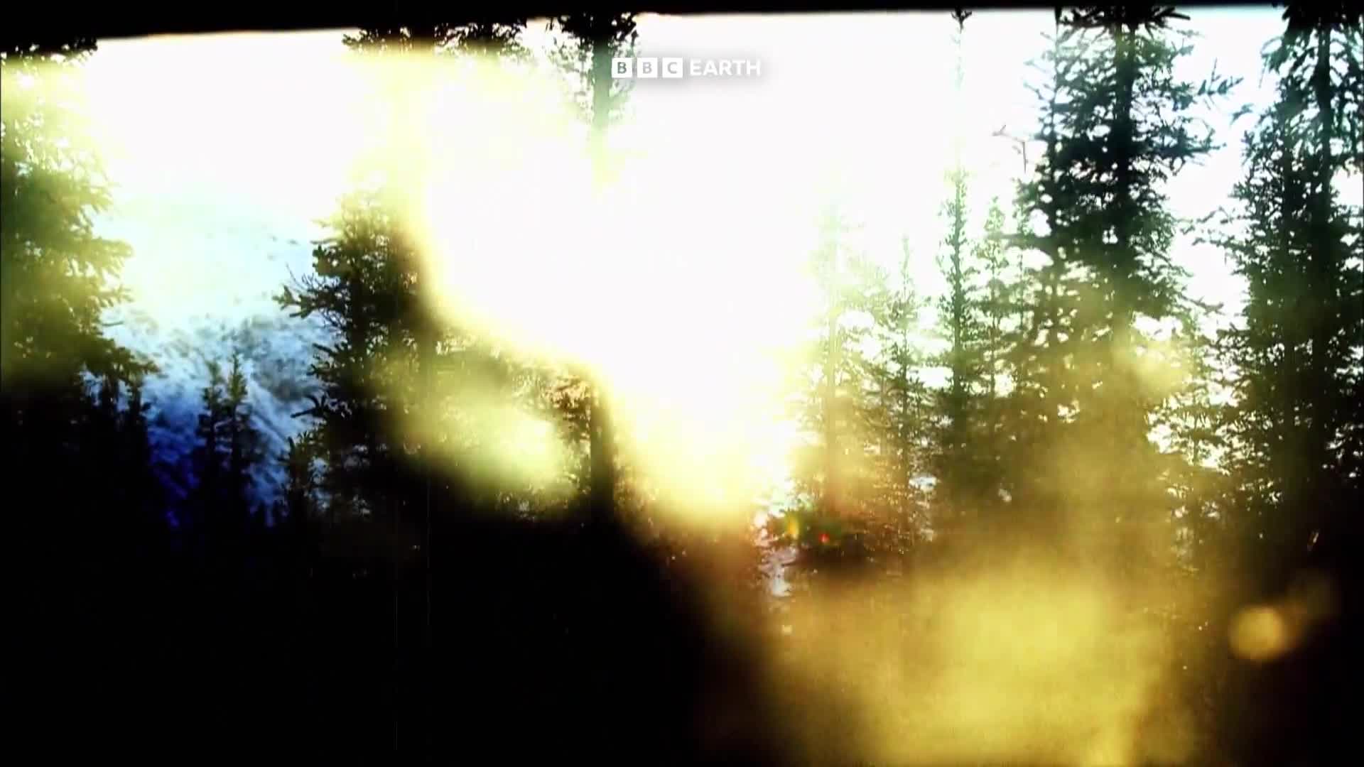 BBCEarth