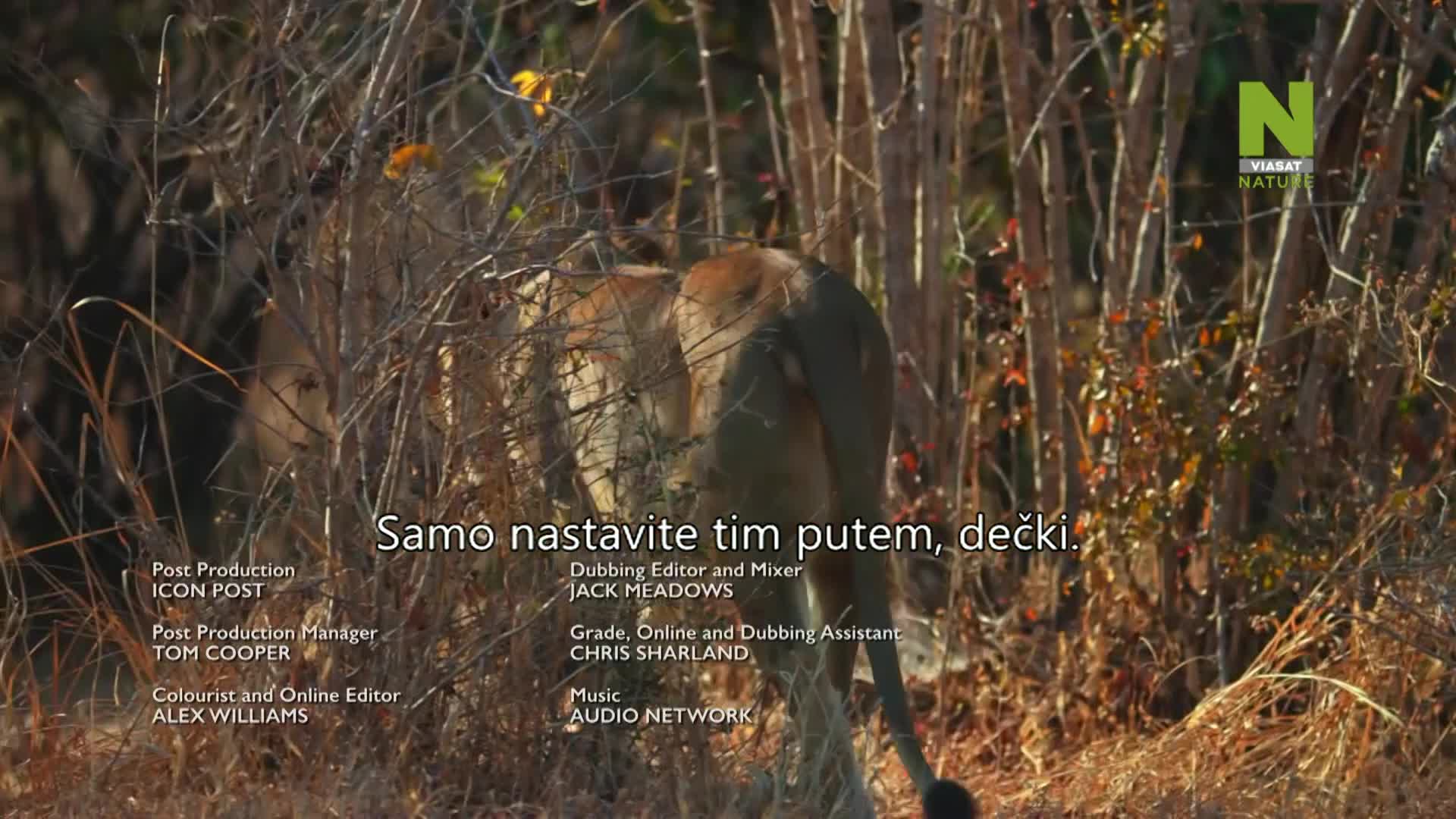 ViasatNature