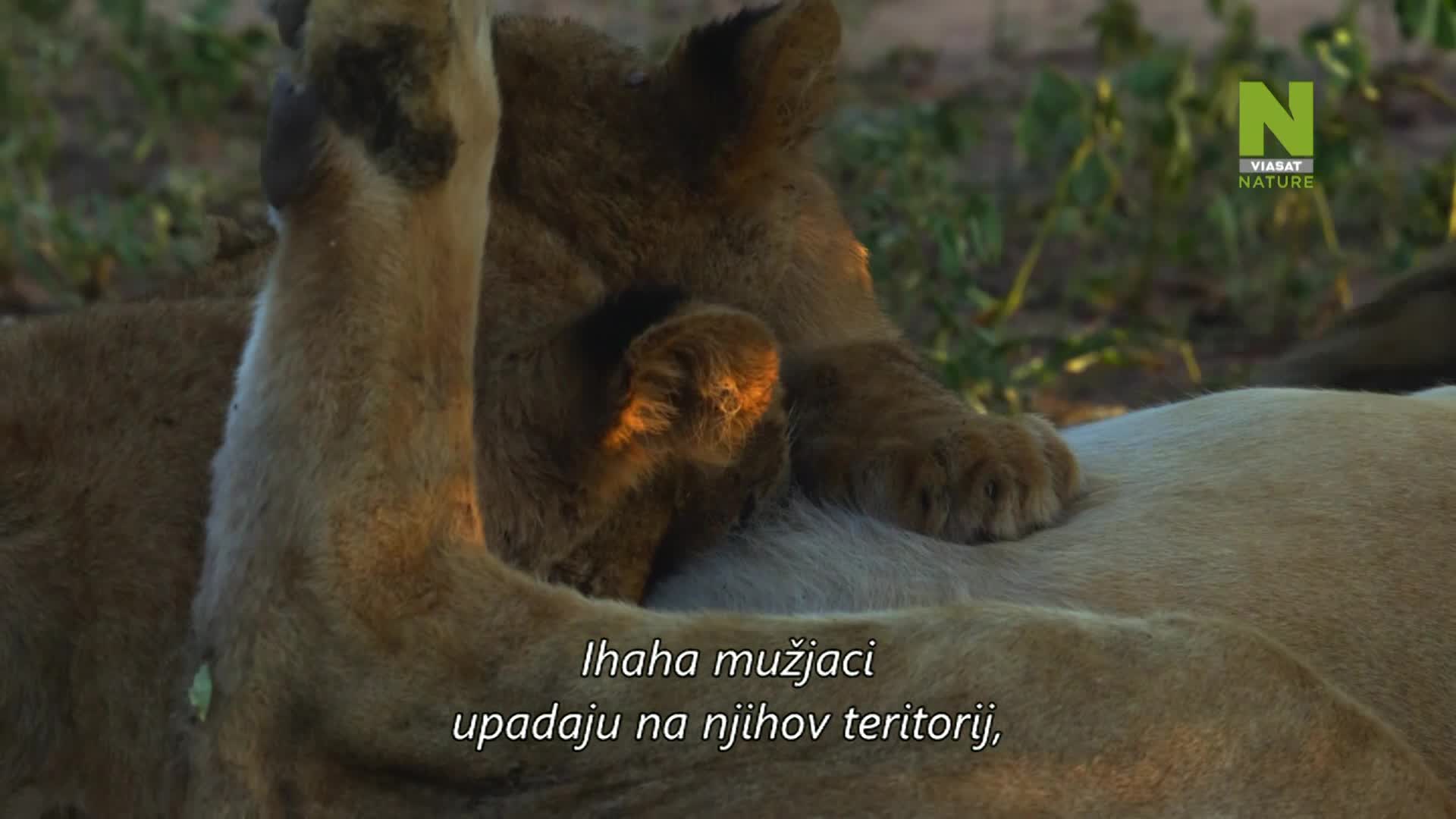 ViasatNature