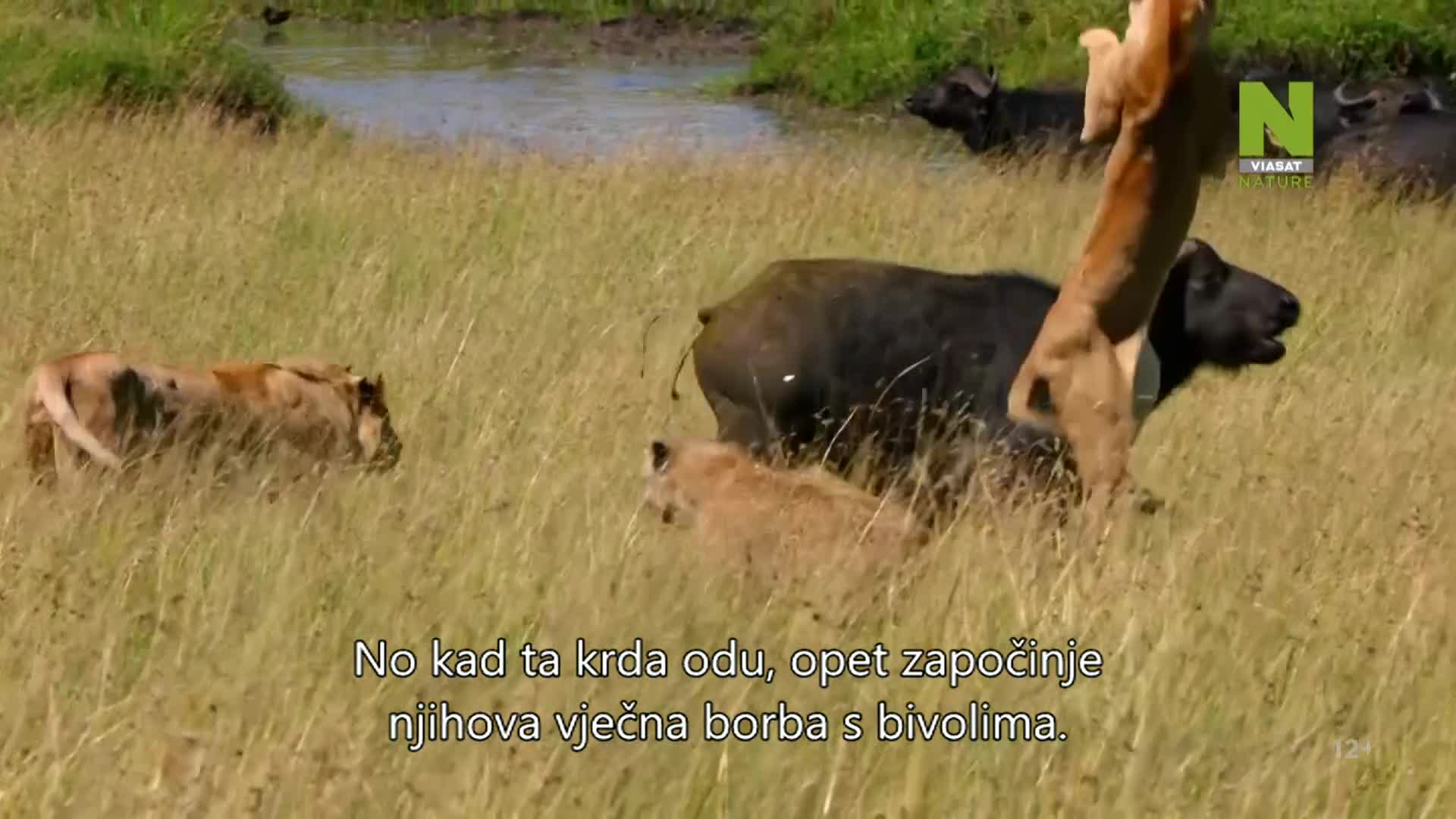 ViasatNature
