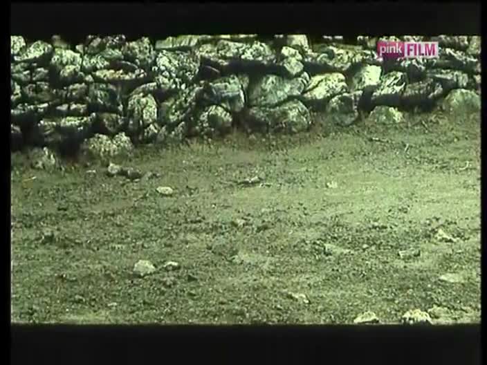 PinkFilm