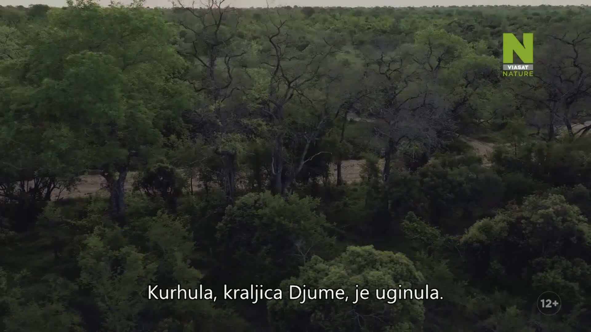 ViasatNature