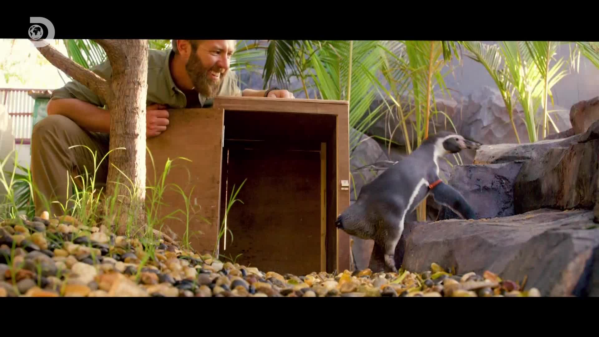 ViasatExplorer
