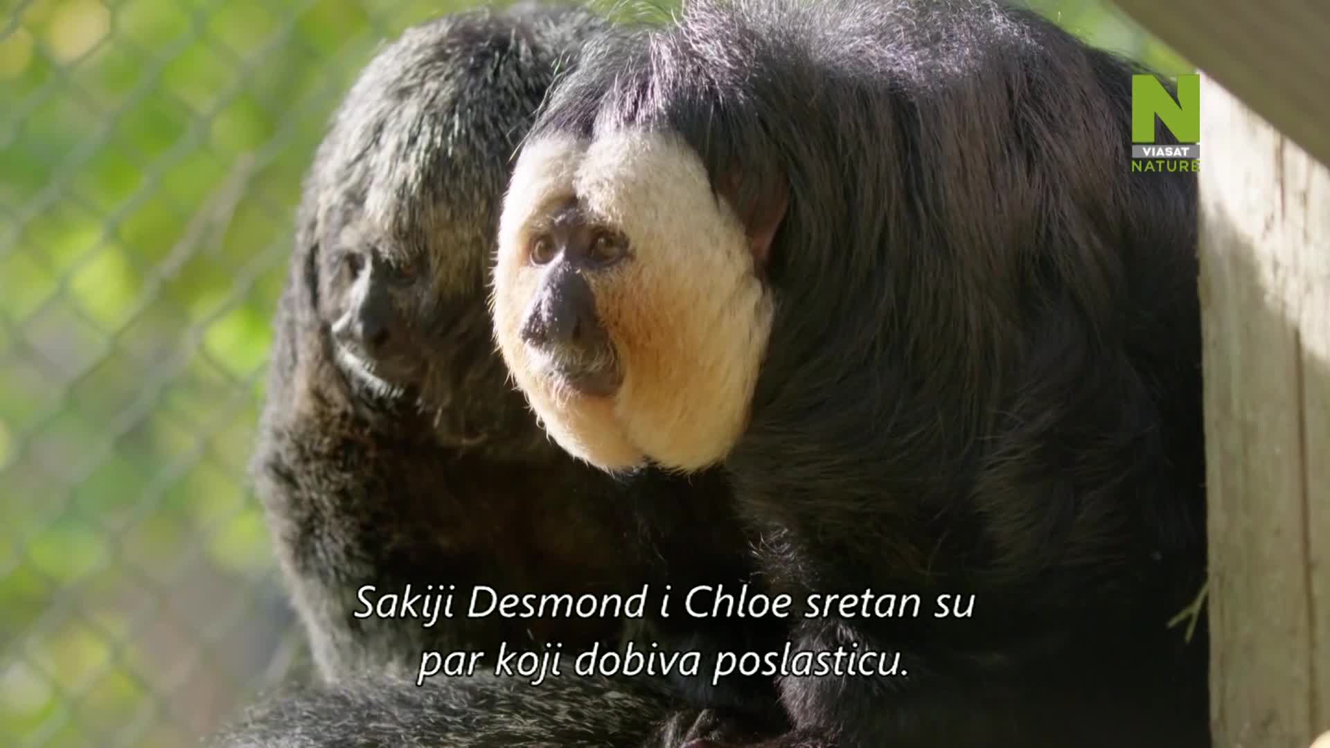 ViasatNature