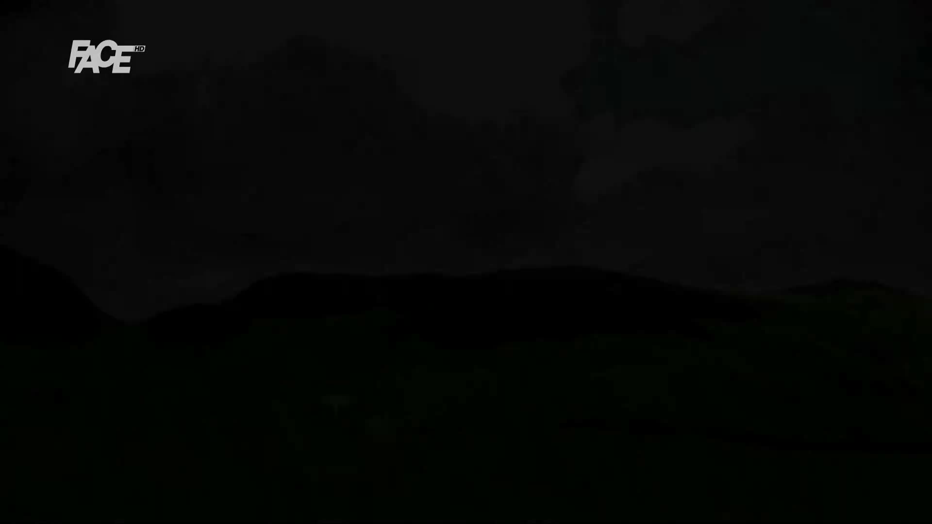 FaceTV