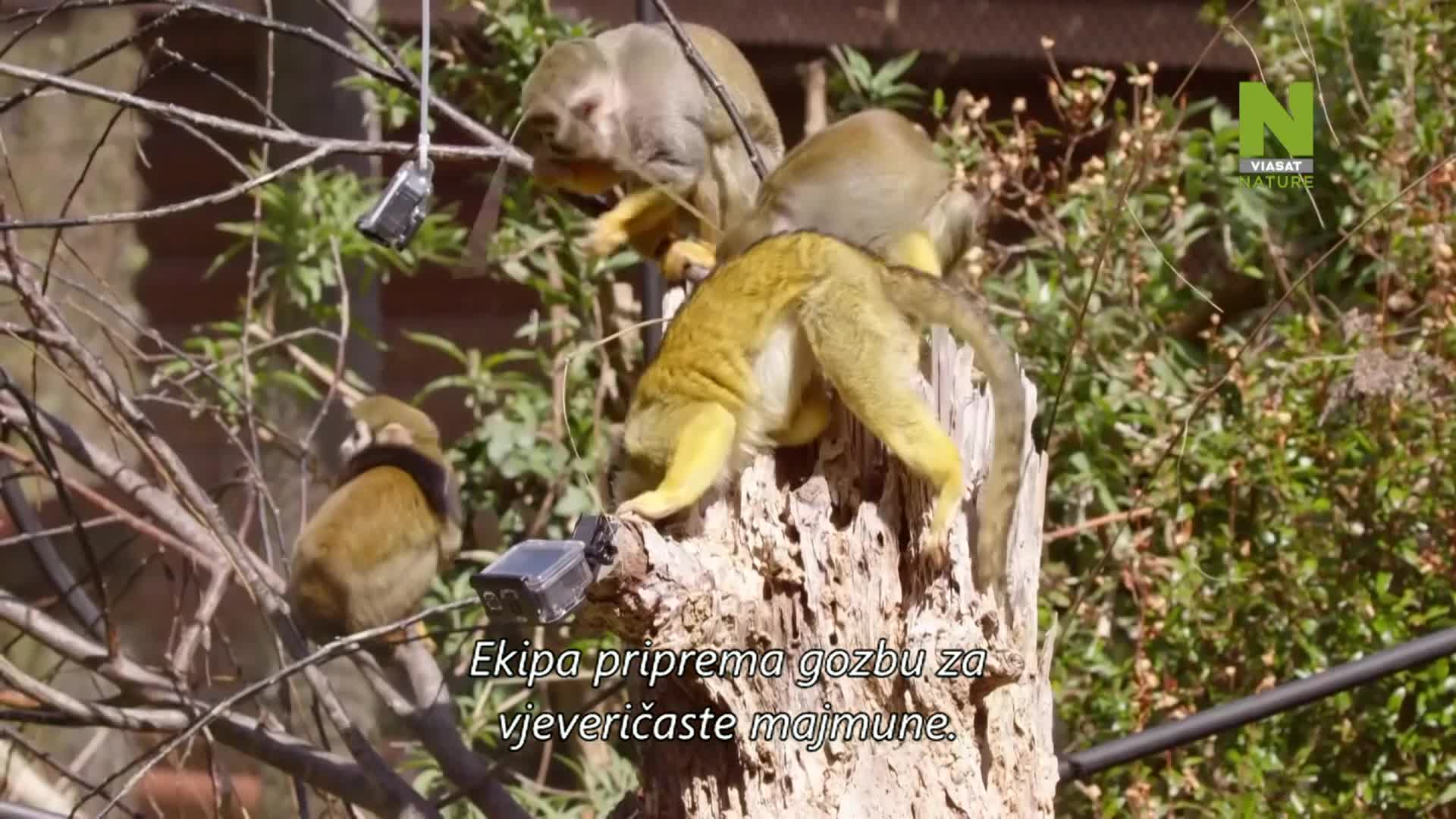 ViasatNature