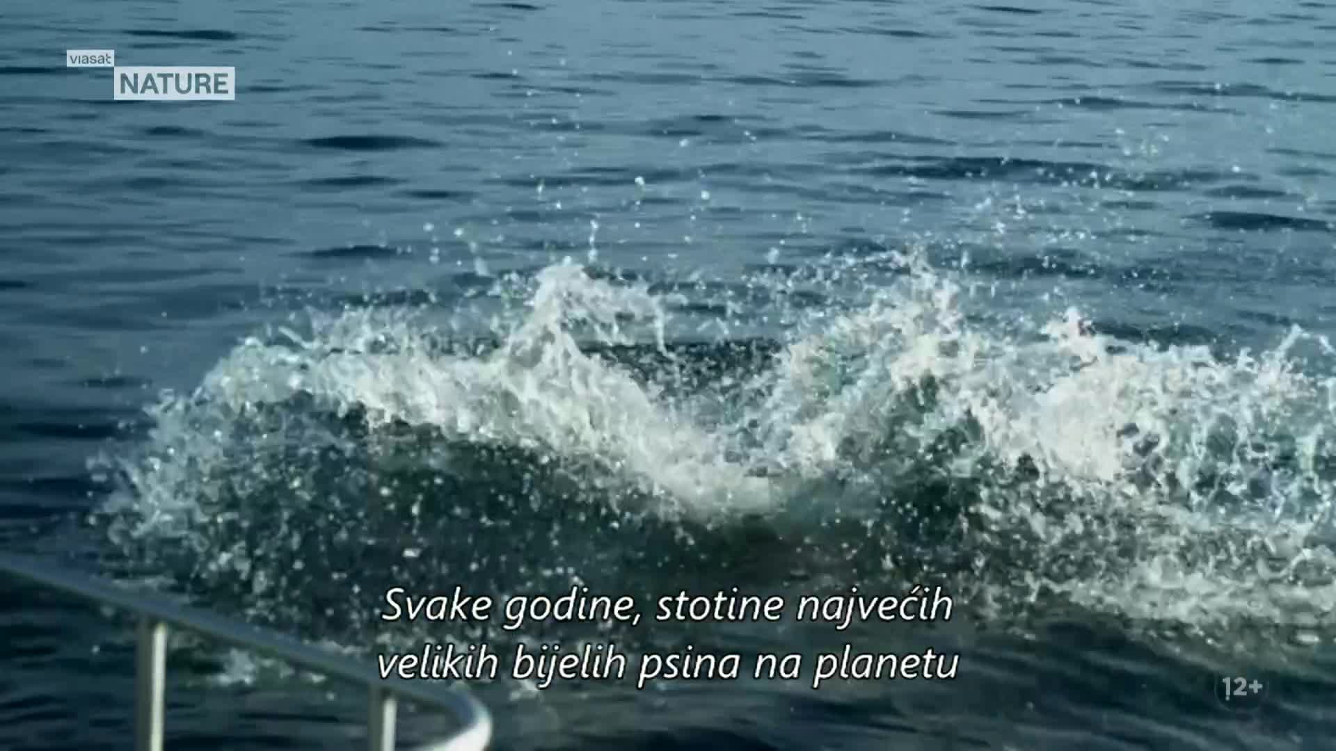ViasatNature