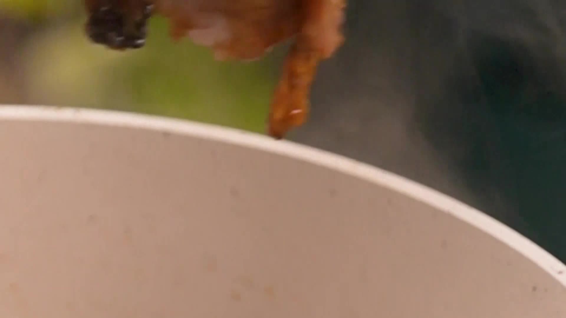 FoodNetwork