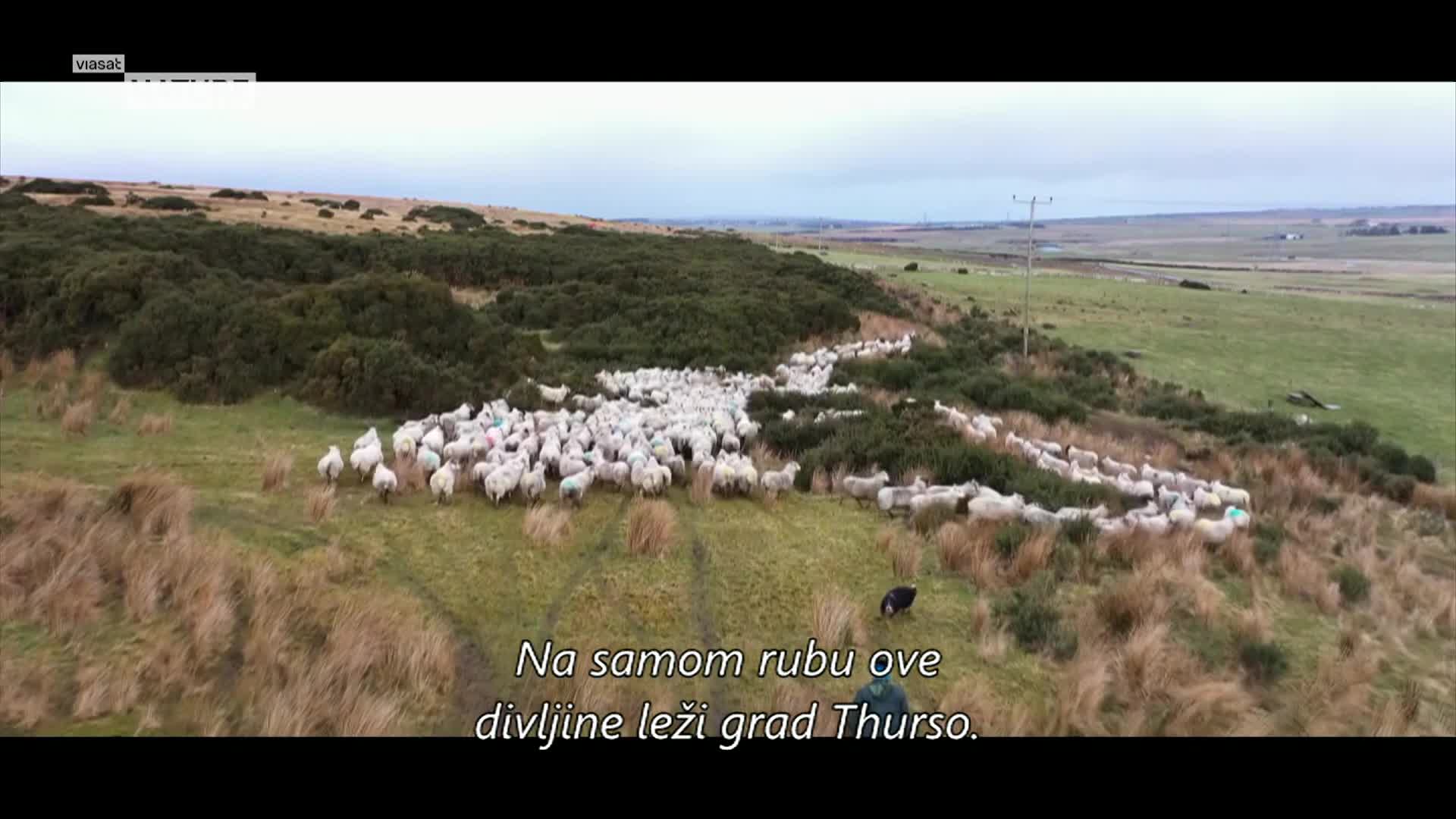 ViasatNature