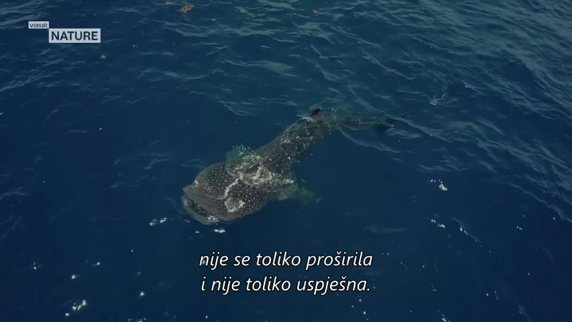 ViasatNature