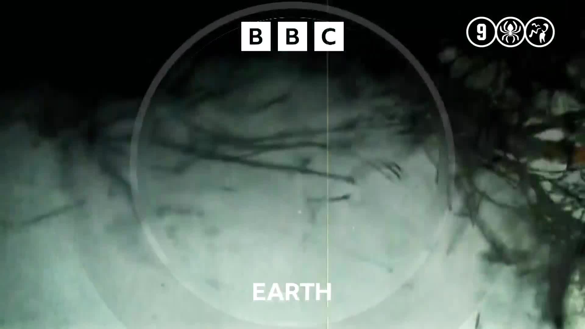 BBCEarth
