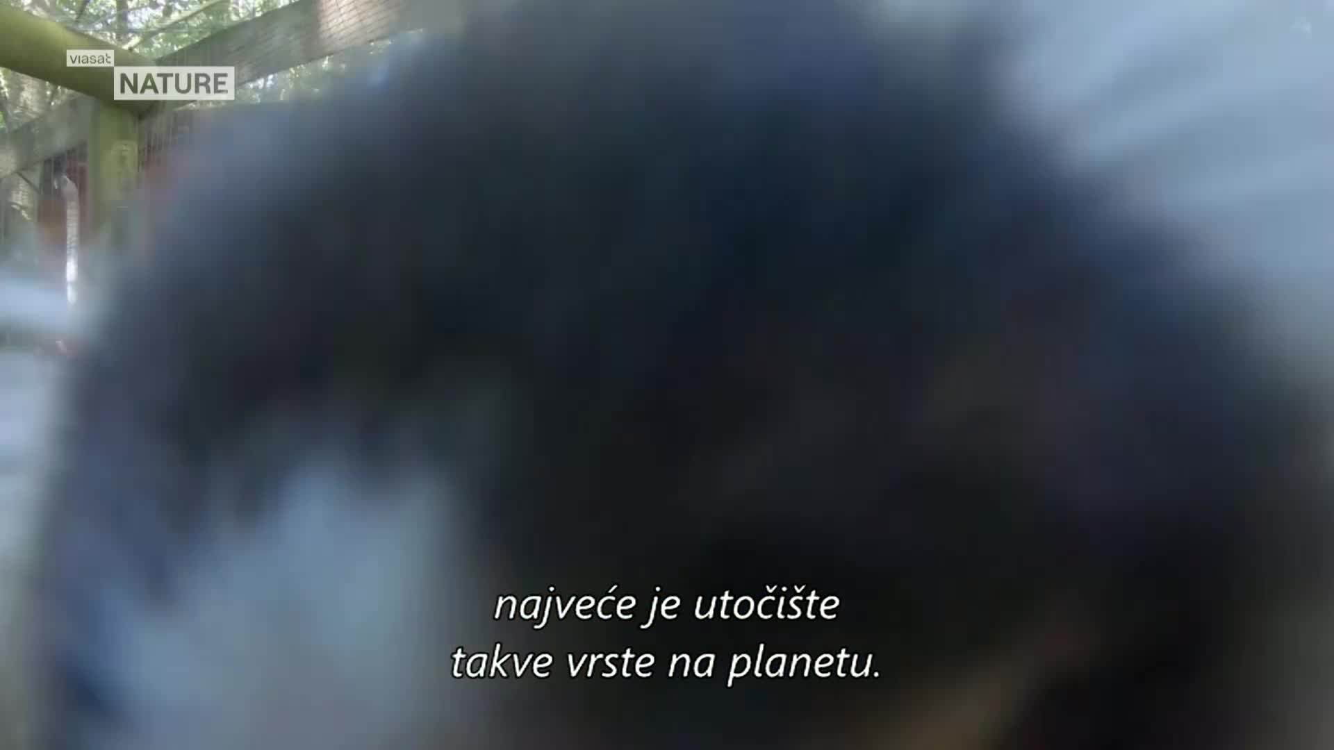 ViasatNature