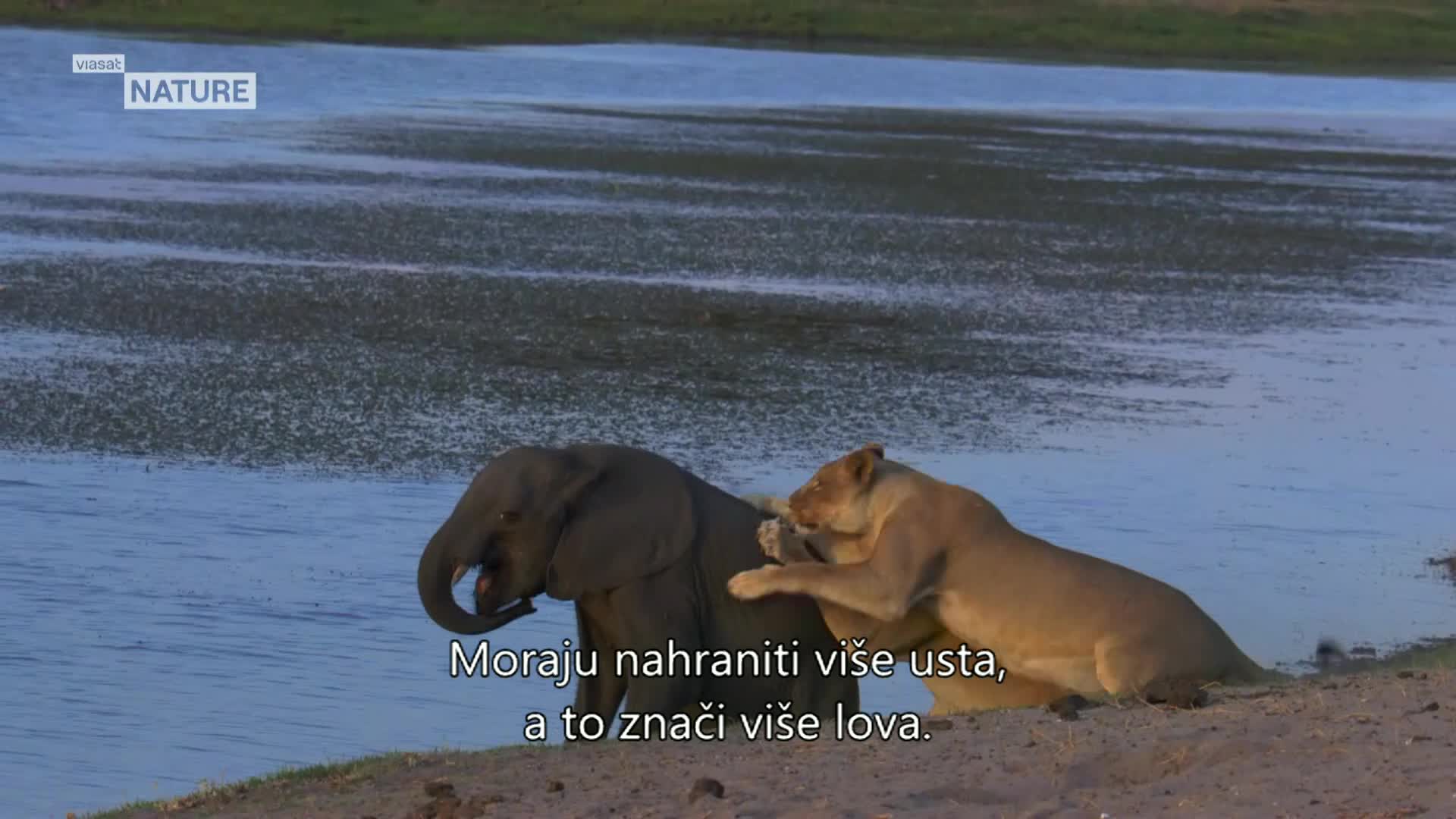ViasatNature