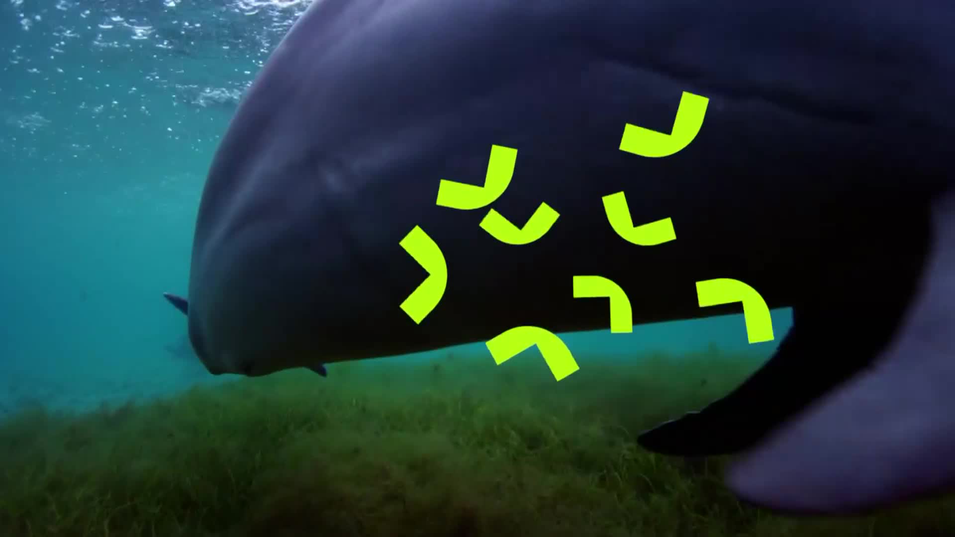 ViasatNature