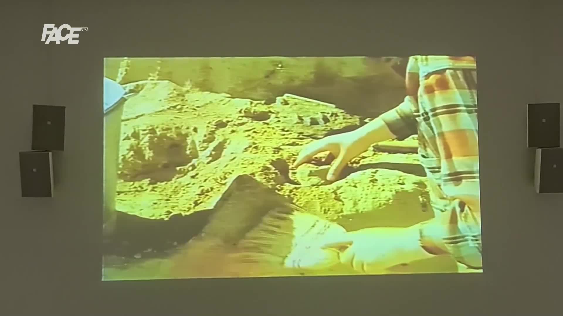 FaceTV