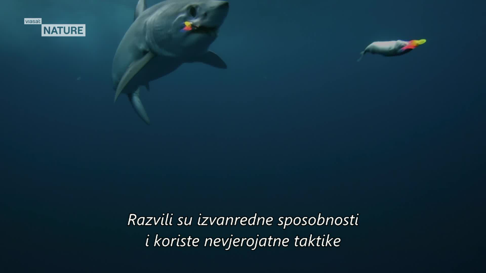 ViasatNature