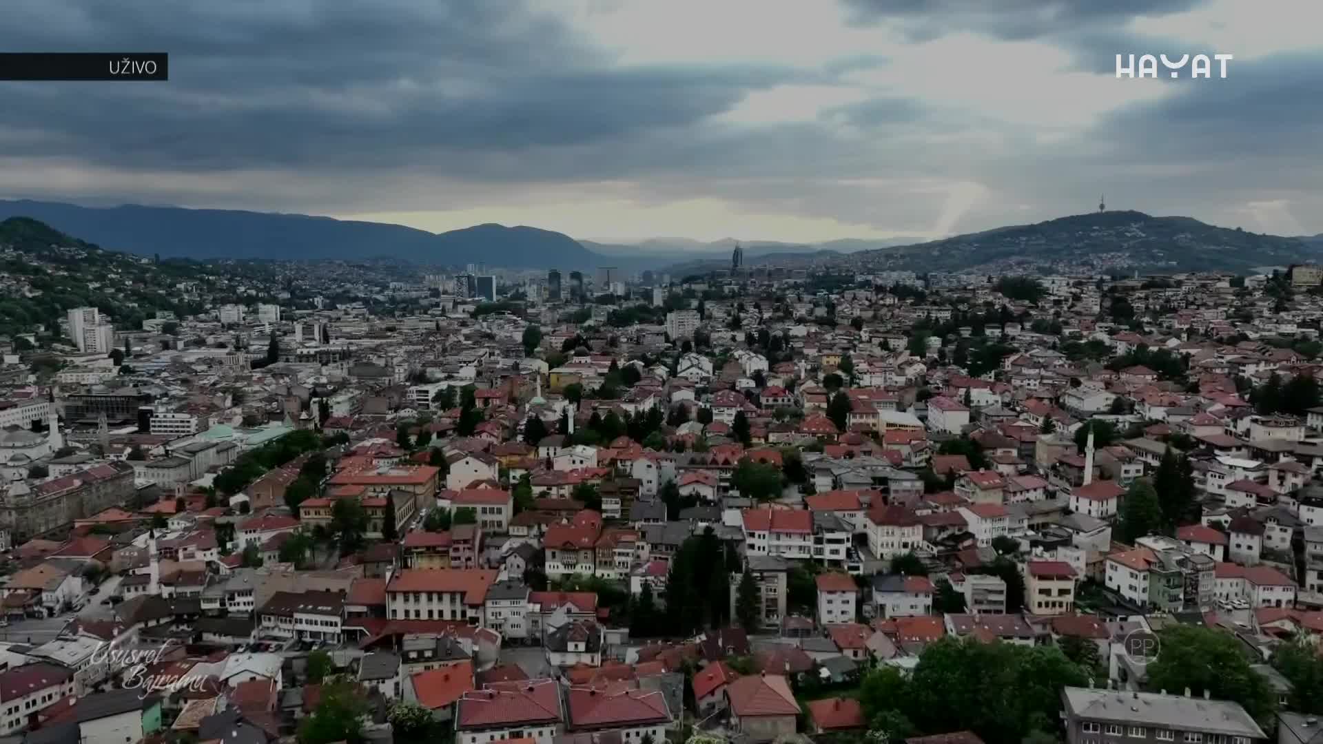 hayat