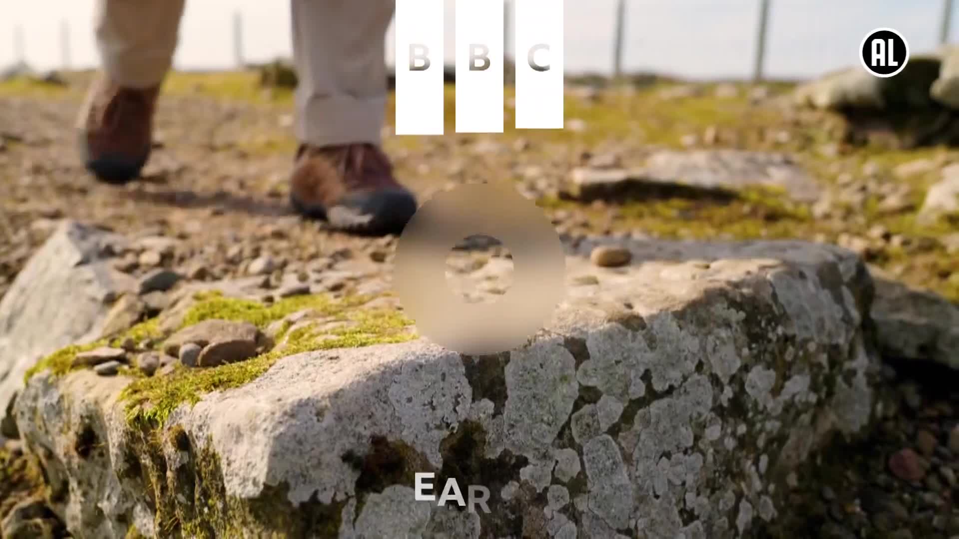BBCEarth