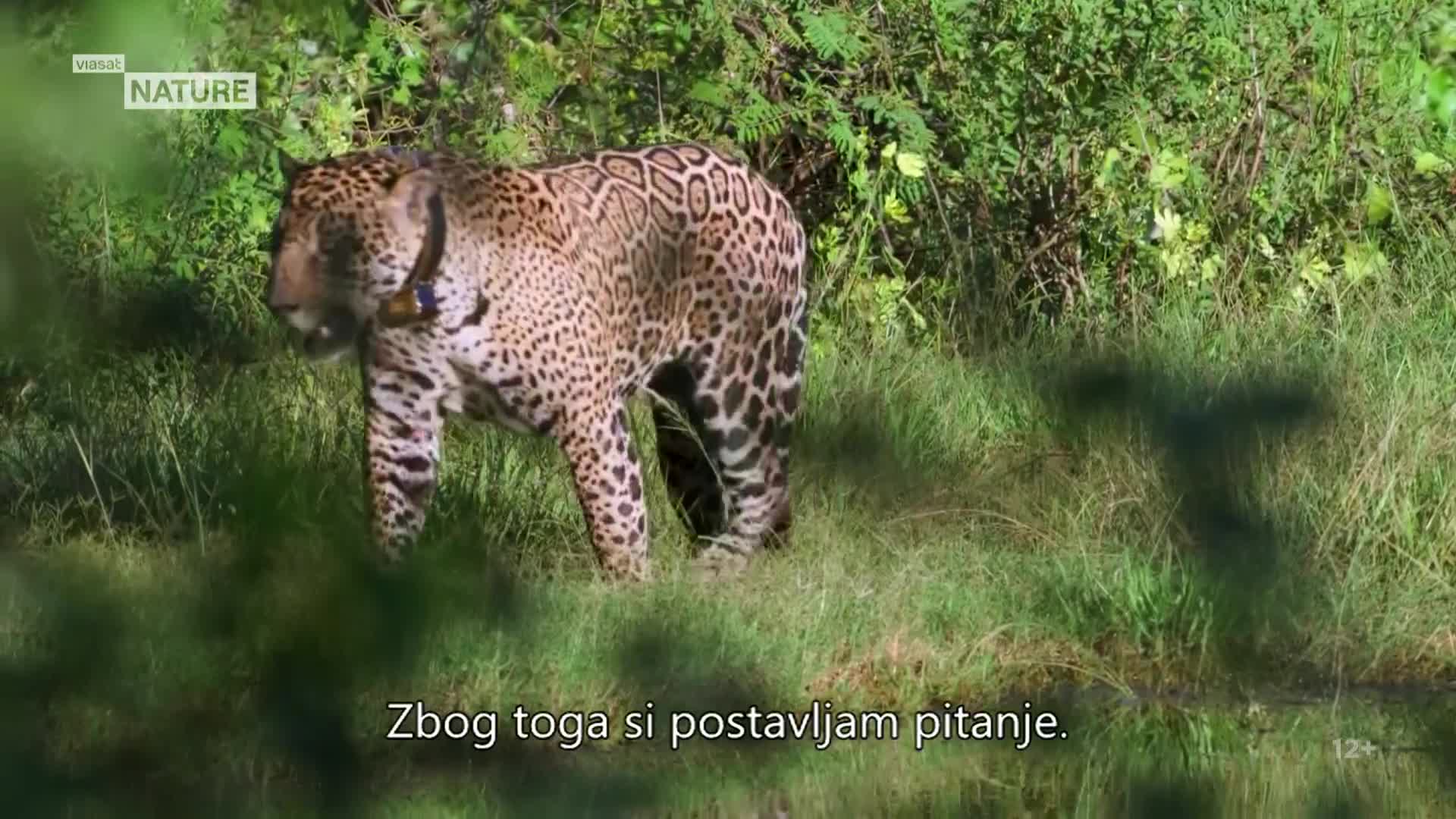 ViasatNature